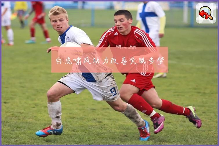 白虎啸风助力改善失眠多梦