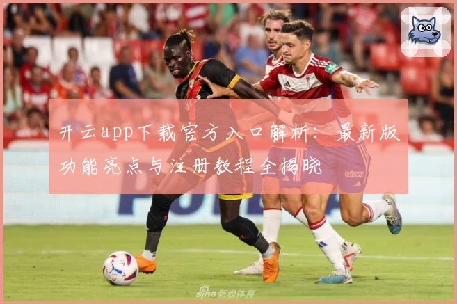 开云app下载官方入口解析：最新版功能亮点与注册教程全揭晓